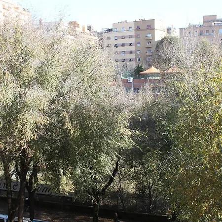 Green Hill Over Trastevere